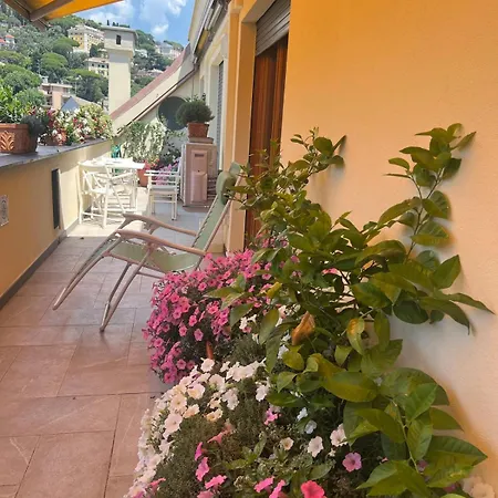 Lemon House Sml Apartment