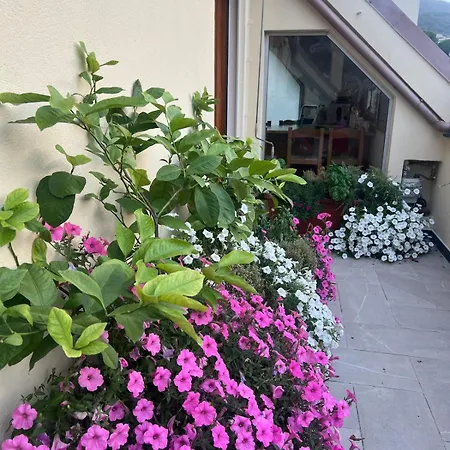 Lemon House Sml 公寓 *