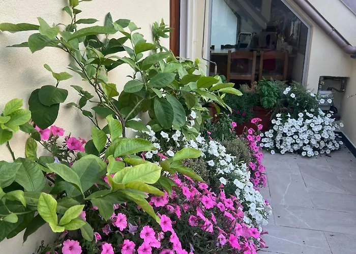 Lemon House Sml Appartement *